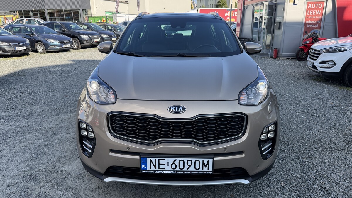 Elbląg Auto Leew LEWANDOWSKI Kupujemy i Sprzedajemy tylko dobre auta Za auta z Polskiego Salonu Płacimy Najwięcej KIA