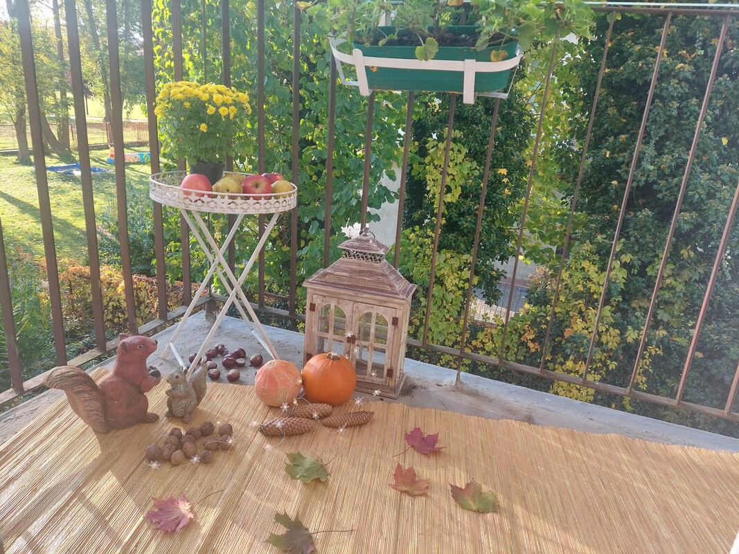 Elbląg Prestiż, cisza I zieleń 1 piętro, balkon
PRYWATNA SPRZEDAZ