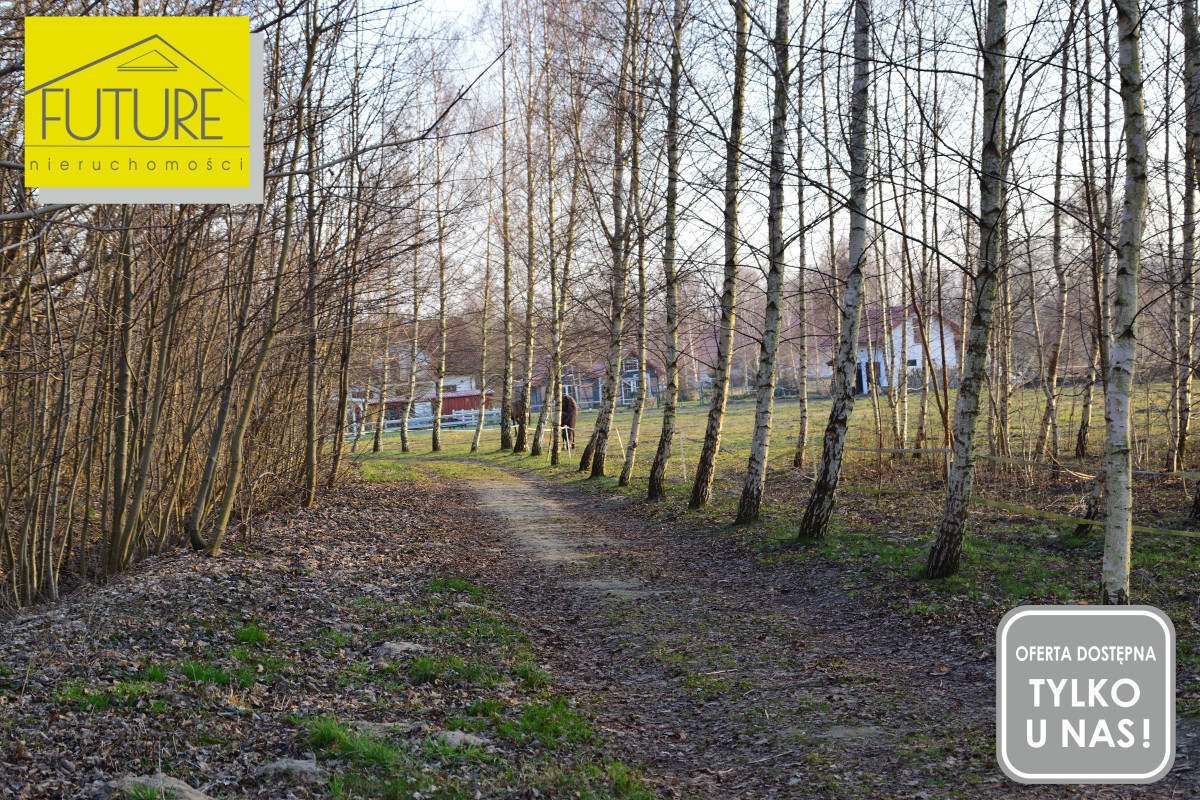 Elbląg FUTURE NIERUCHOMOŚCISprzedam działkę - PrzemysławDZIAŁKA POD ZABUDOWĘ ZAGRODOWĄ ORAZ POD AGROTURYSTYKĘ!