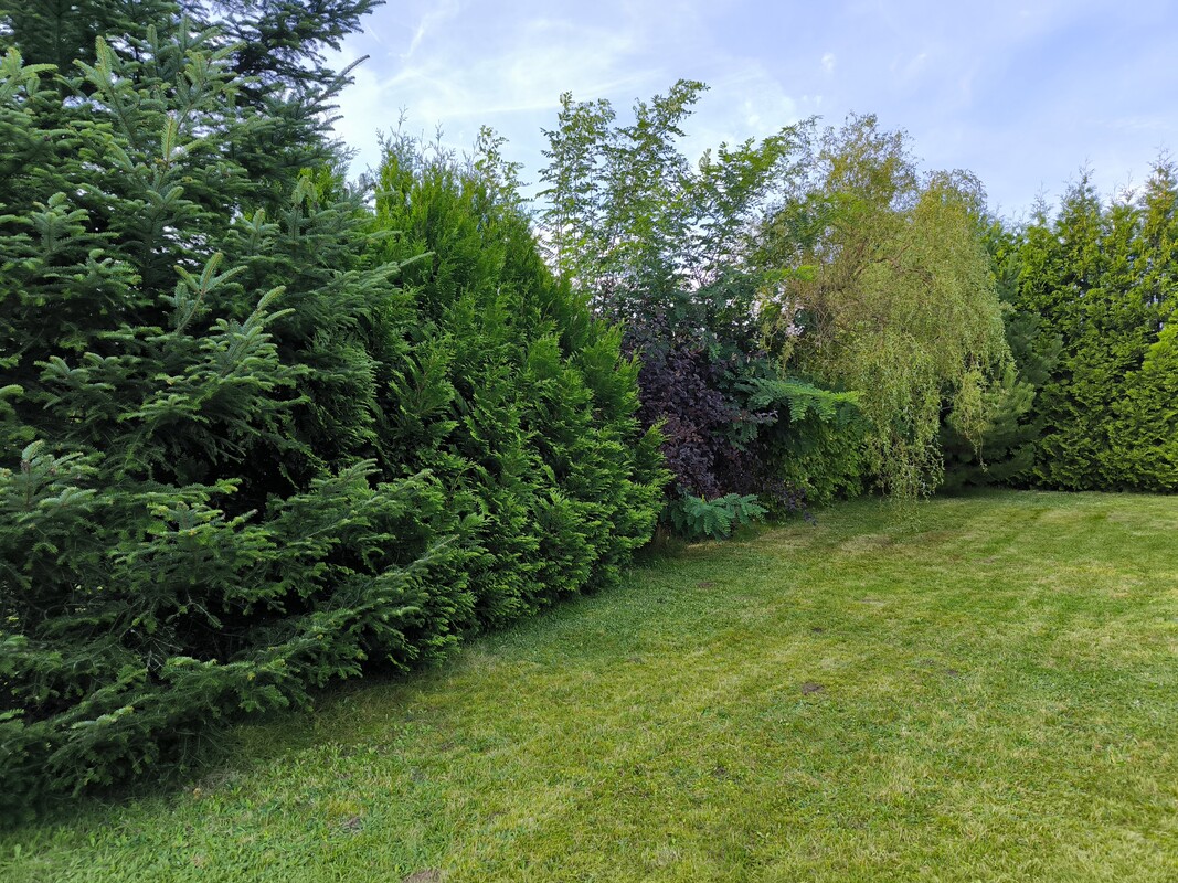 Elbląg Sprzedam zadbaną działkę ogrodniczą w ROD BRATEK 500 m2 (prąd + woda)