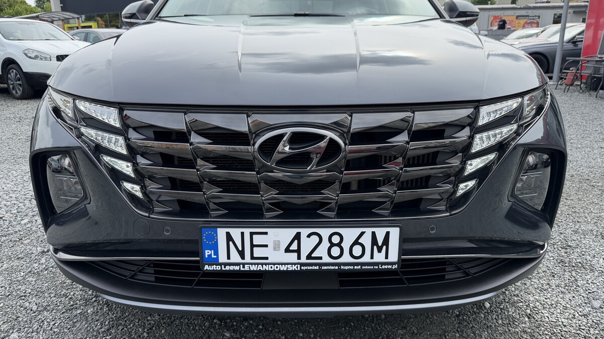 Elbląg Auto Leew LEWANDOWSKI Kupujemy i Sprzedajemy tylko dobre auta Za auta z Polskiego Salonu Płacimy Najwięcej