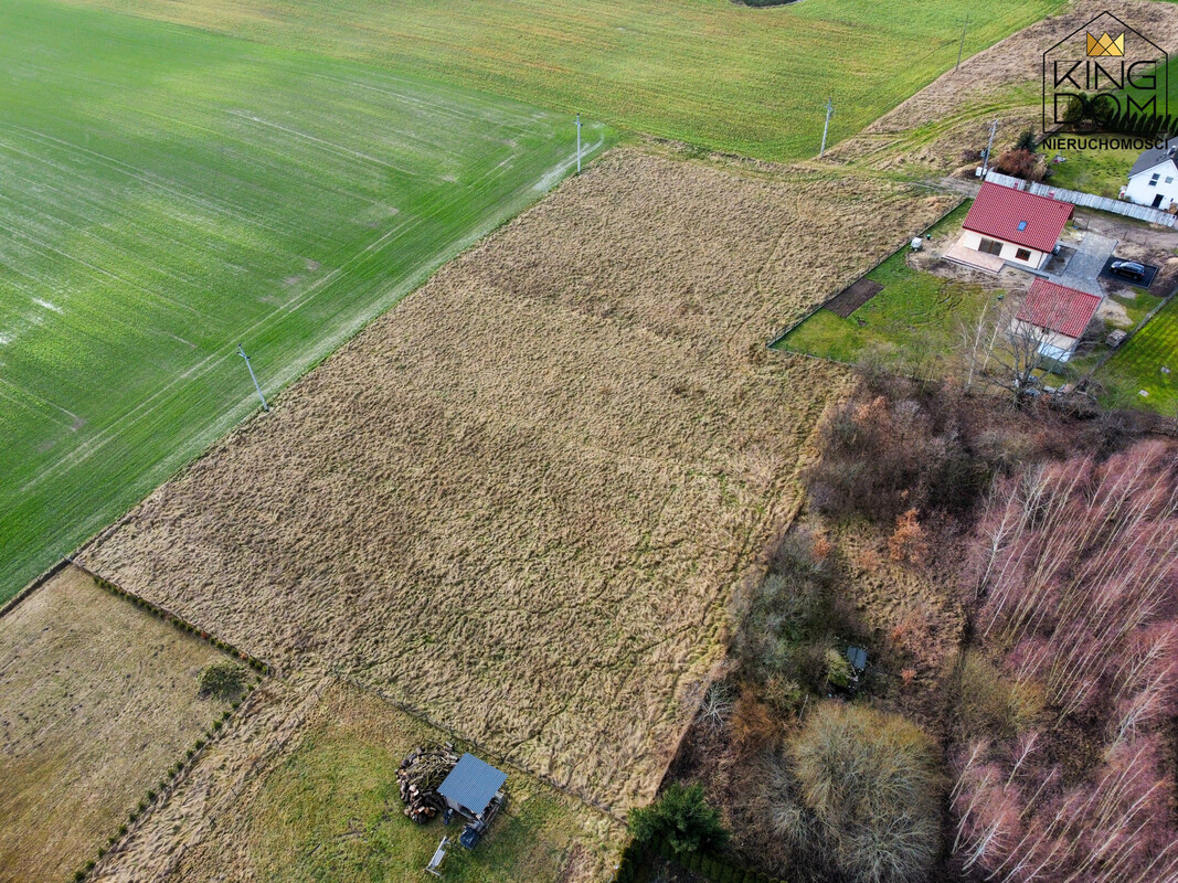 Elbląg 👑🏠 KINGDOM 🏠👑NIERUCHOMOŚCI BLISKO CIEBIE NA