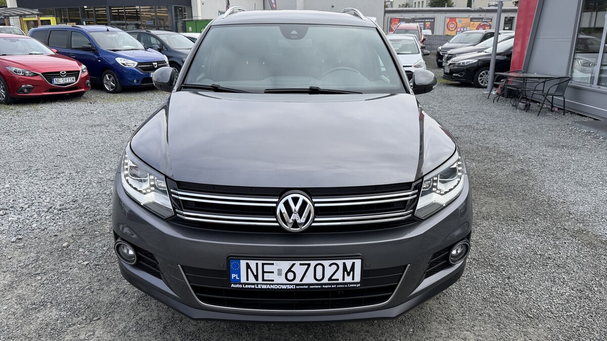 Elbląg Auto Leew LEWANDOWSKI Kupujemy i Sprzedajemy tylko dobre auta Za auta z Polskiego Salonu Płacimy Najwięcej