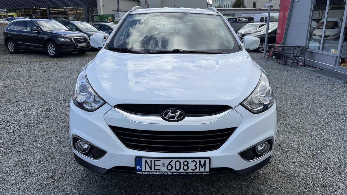 Elbląg Auto Leew LEWANDOWSKI Kupujemy i Sprzedajemy tylko dobre auta Za auta z Polskiego Salonu Płacimy Najwięcej