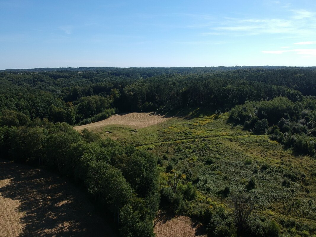 Elbląg SZULC & SZULC BIURO NIERUCHOMOŚCI NA SPRZEDAŻDziałka budowlano - usługowa - Kamionek Wielki /gmina