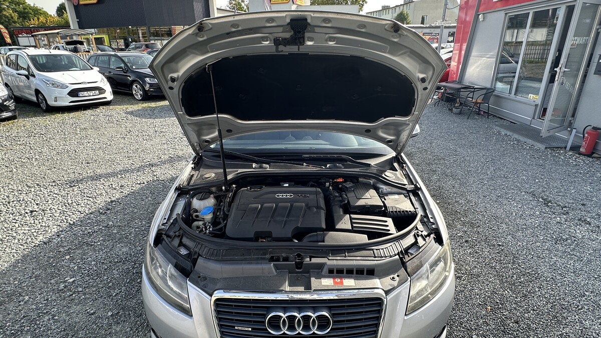Elbląg Auto Leew LEWANDOWSKI Kupujemy i Sprzedajemy tylko dobre auta Za auta z Polskiego Salonu Płacimy Najwięcej AUDI