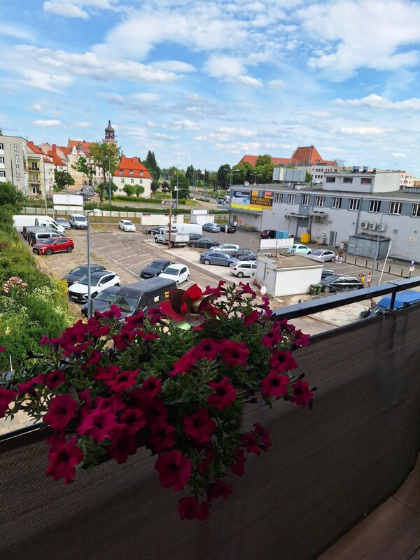 Elbląg Sprzedam mieszkanie 2 pokojowe w centrum Elbląga, dwa balkony, winda, teren ogrodzony, ogłoszenie prywatne.