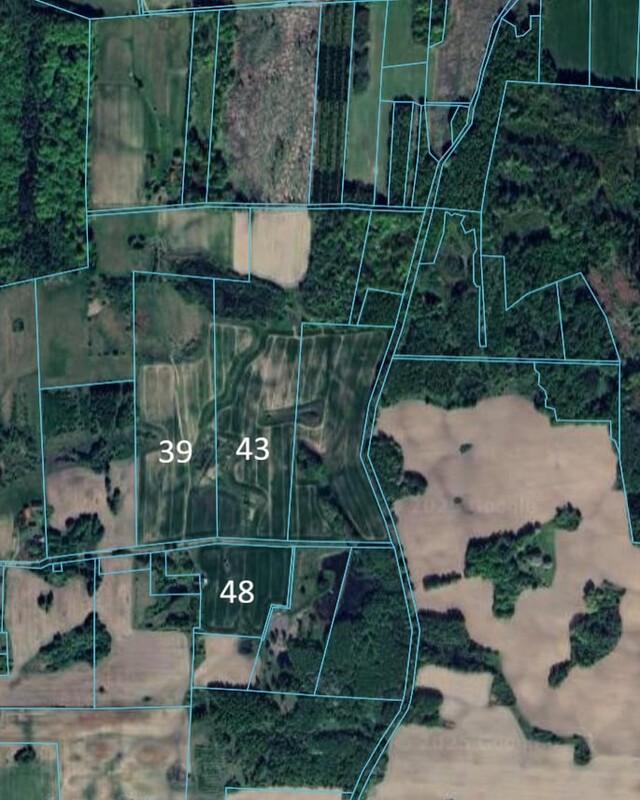 Elbląg Sprzedam 20 hektarów gruntów rolnych położonych we wsi Ząbrowiec gmina Godkowo powiat elbląski. Większość