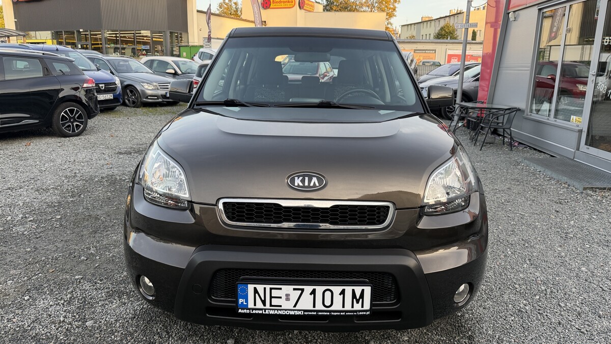 Elbląg Auto Leew LEWANDOWSKI Kupujemy i Sprzedajemy tylko dobre auta Za auta z Polskiego Salonu Płacimy Najwięcej KIA