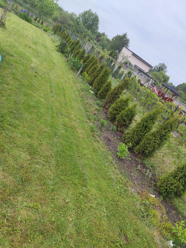 Elbląg Działka ROD PRZYRODA 600m2