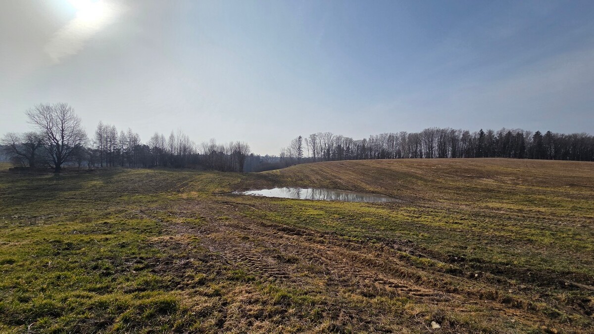 Elbląg SZULC & SZULC BIURO NIERUCHOMOŚCI NA SPRZEDAŻDziałka budowlana - Stare Monasterzysko /gmina
