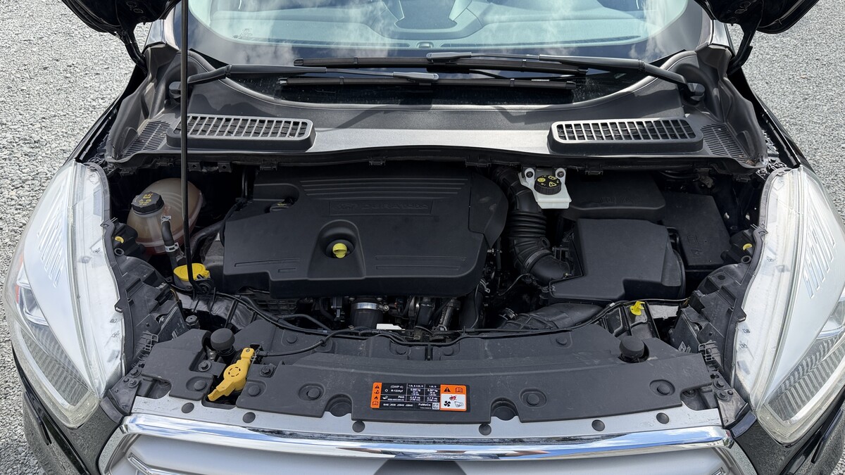 Elbląg Auto Leew LEWANDOWSKI Kupujemy i Sprzedajemy tylko dobre auta Za auta z Polskiego Salonu Płacimy Najwięcej FORD