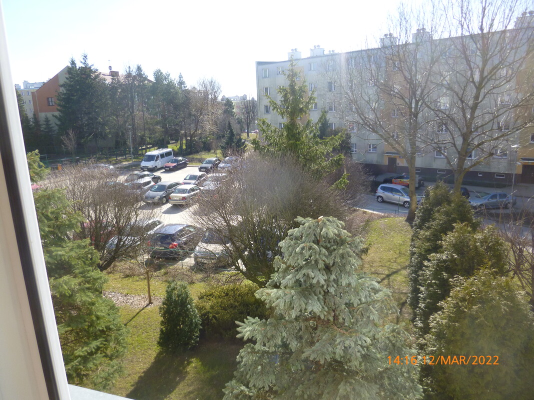 Elbląg Wynajmę kawalerkę