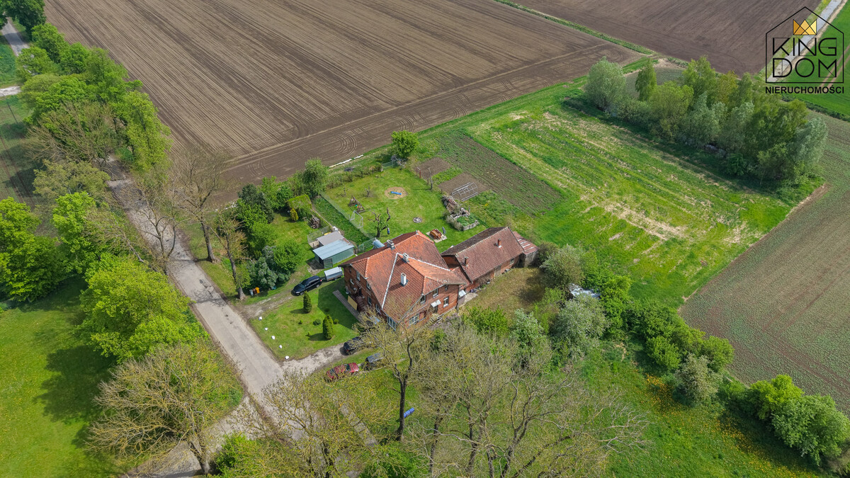 Elbląg KINGDOM NIERUCHOMOŚCI BLISKO CIEBIENA SPRZEDAŻ DUŻE, BEZCZYNSZOWE 2-POKOJOWE MIESZKANIEPOŁOŻONE NA PARTERZE