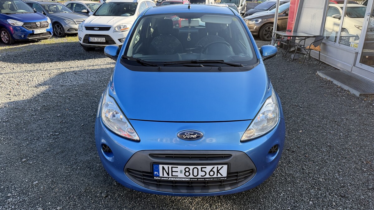Elbląg Auto Leew LEWANDOWSKI Kupujemy i Sprzedajemy tylko dobre auta Za auta z Polskiego Salonu Płacimy Najwięcej FORD