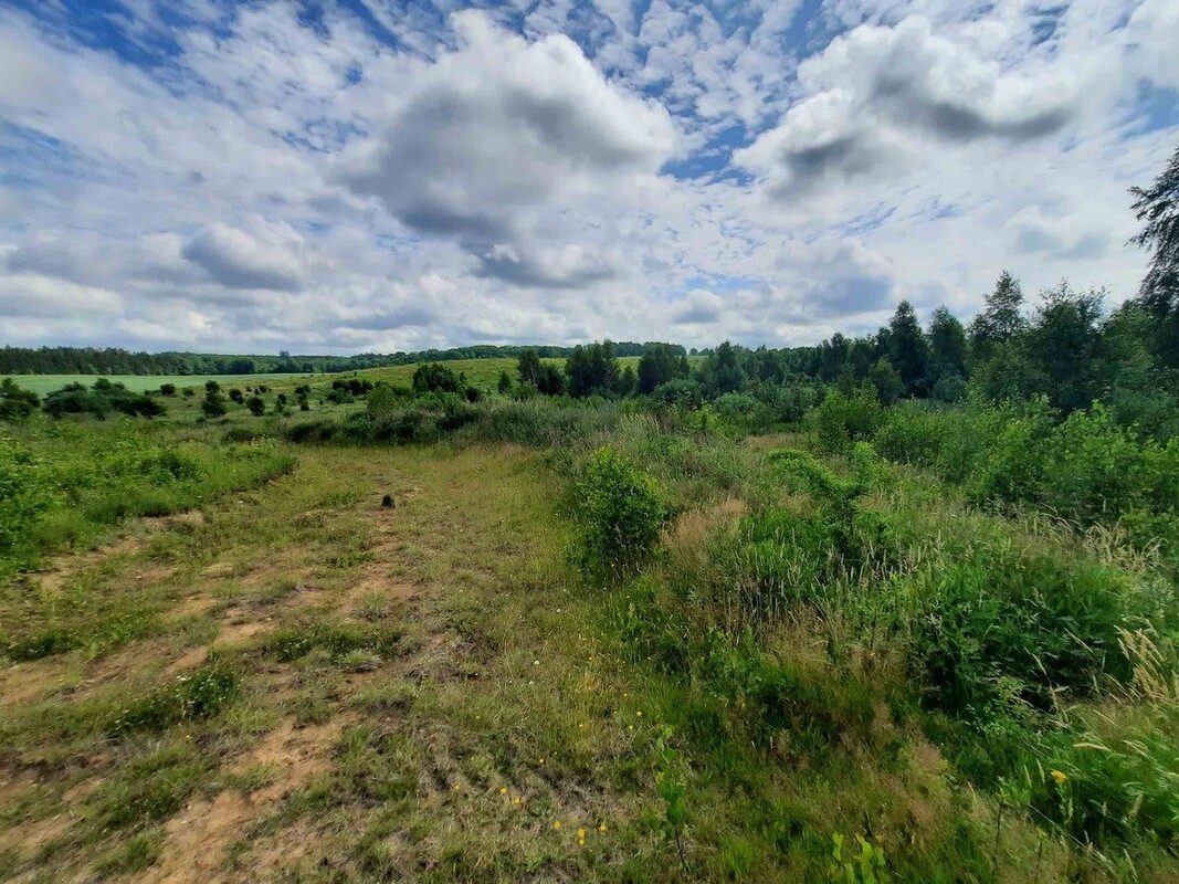 Elbląg SZULC & SZULC BIURO NIERUCHOMOŚCI Działka budowlana - Łęcze, gmina