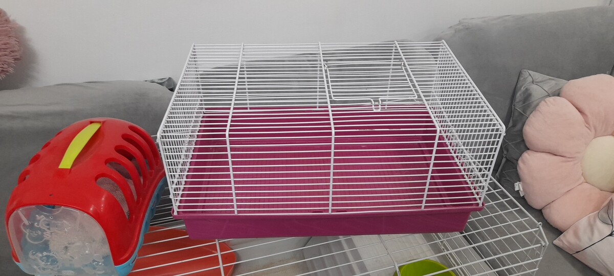 Elbląg Witam. Do sprzedania klatka dla chomika, świnki ewentualnie królika miniaturki. Klatka w bardzo dobrym stanie z