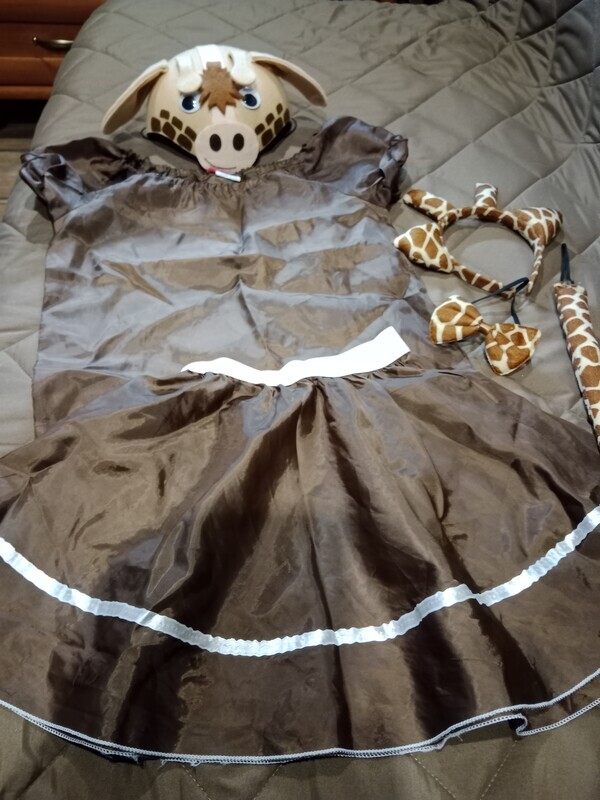 Elbląg Sprzedam stroje karnawałowe po córce w cenie od 20 zł do 35 zł, maska i peruka po 10 zł. Możliwość odbioru w