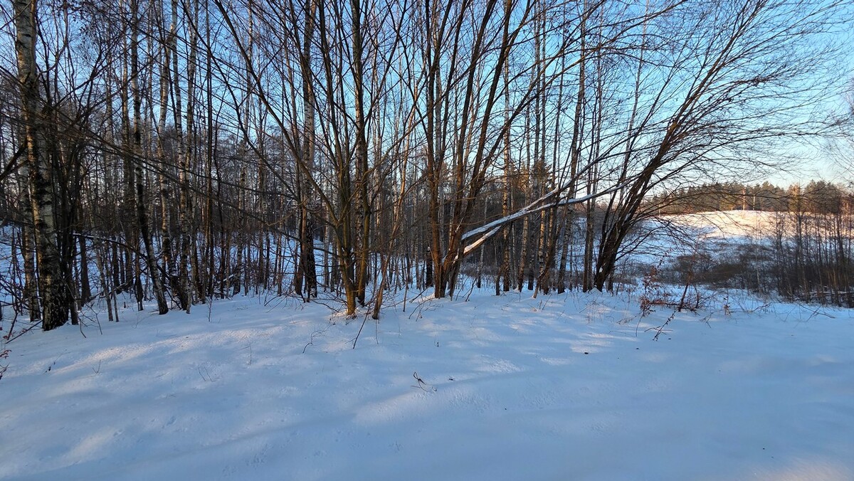 Elbląg BIURO NIERUCHOMOŚCISZULC& SZULCDziałka budowlana w miejscowości Elbląg ul. Jaworowa /Dąbrowa/ o