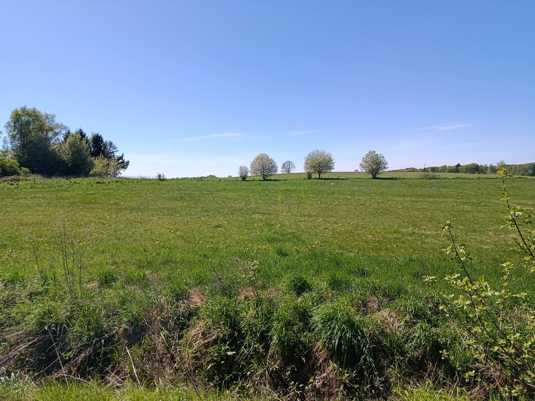 Elbląg Sprzedam ziemię z działką zabudowaną po gospodarstwie rolnym w Pomorskiej Wsi gmina Milejewo 15 minut od