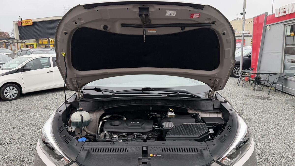 Elbląg Auto Leew LEWANDOWSKI