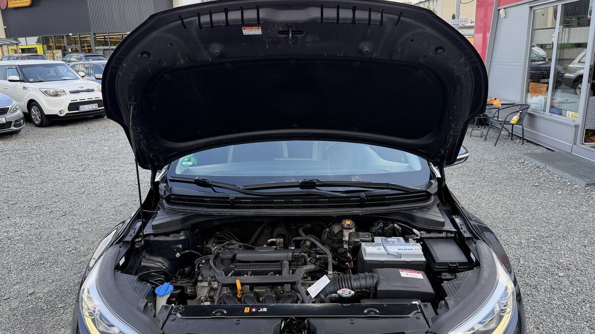 Elbląg Auto Leew LEWANDOWSKI