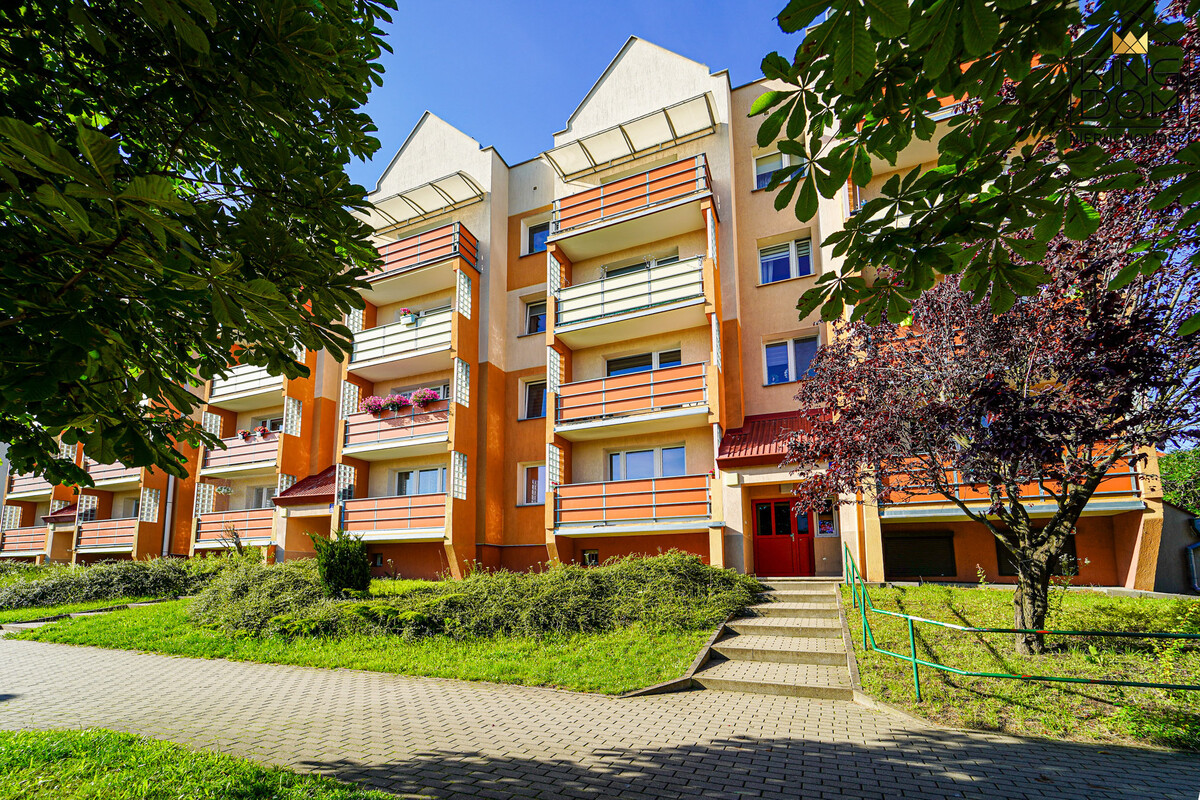 Elbląg 👑🏠 KINGDOM 🏠👑NIERUCHOMOŚCI BLISKO CIEBIE NA WYNAJEM
