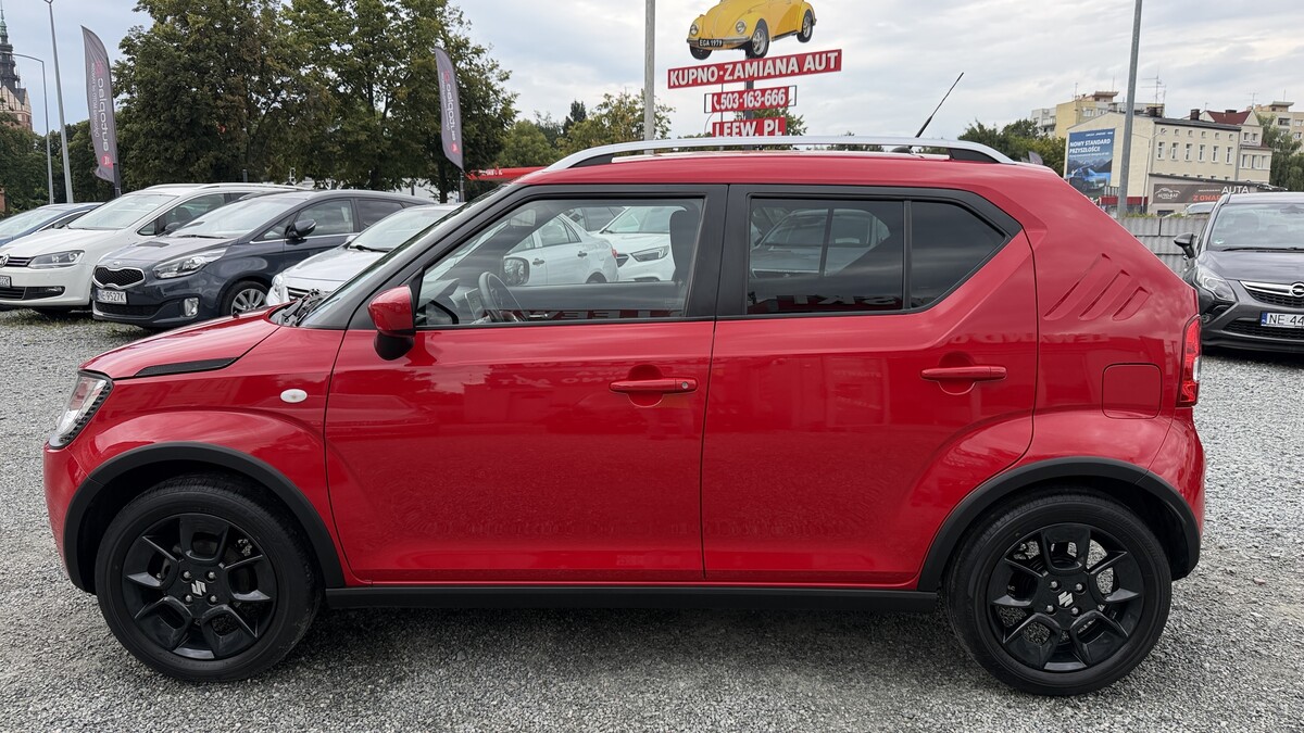 Elbląg Auto Leew LEWANDOWSKI Kupujemy i Sprzedajemy tylko dobre auta Za auta z Polskiego Salonu Płacimy Najwięcej