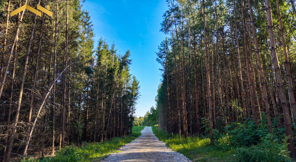 Elbląg WIŚNIEWSCY NIERUCHOMOŚCI Sp. z o.o.Sprzedam działkę - Rogowo. Oferta: Na sprzedaż działka nr 163/16 o
