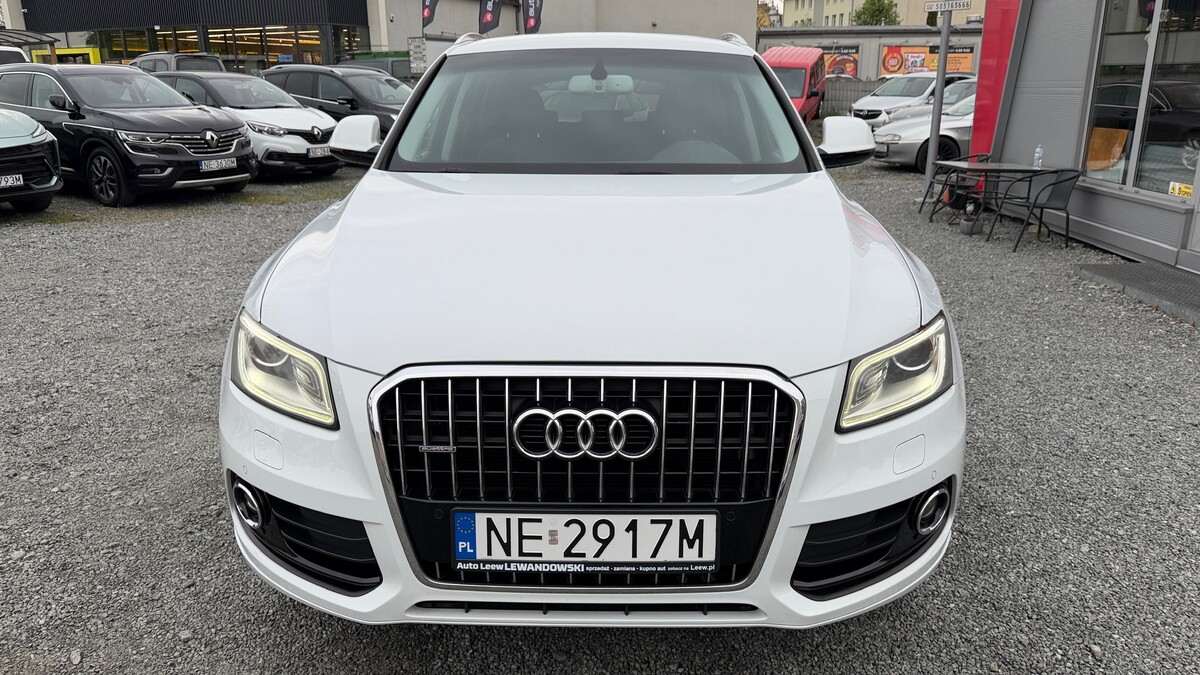 Elbląg Auto Leew LEWANDOWSKI Kupujemy i Sprzedajemy tylko dobre auta Za auta z Polskiego Salonu Płacimy Najwięcej AUDI