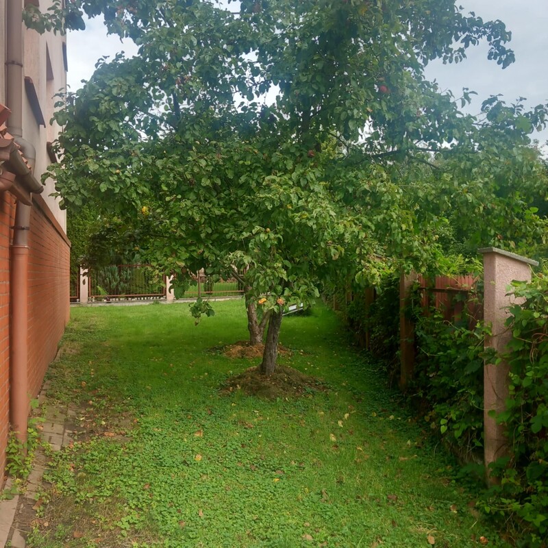 Elbląg Witam, Sprzedam dom wolnostojący położony w Gronowie Górnym. Dom jest zbudowany z solidnych materiałów