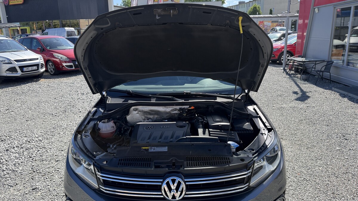 Elbląg Auto Leew LEWANDOWSKI