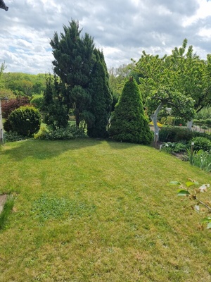 Elbląg SPRZEDAM - Działka ROD Zalesie w Elblągu. 