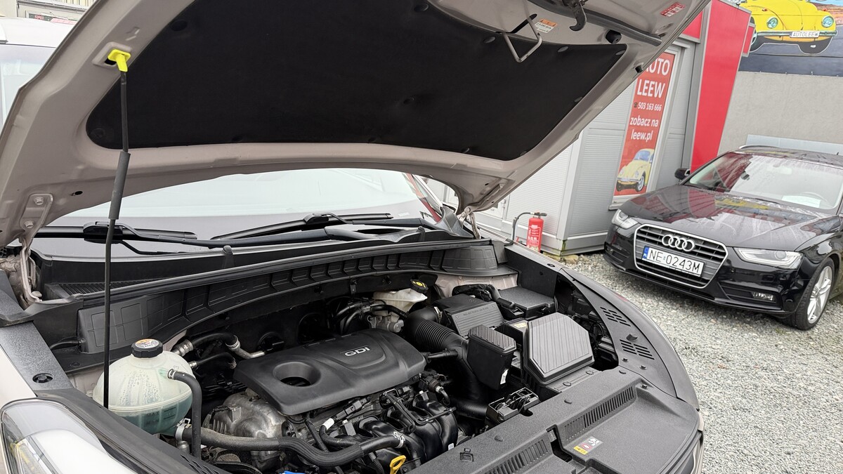 Elbląg Auto Leew LEWANDOWSKI