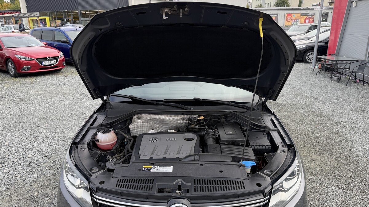 Elbląg Auto Leew LEWANDOWSKI Kupujemy i Sprzedajemy tylko dobre auta Za auta z Polskiego Salonu Płacimy Najwięcej