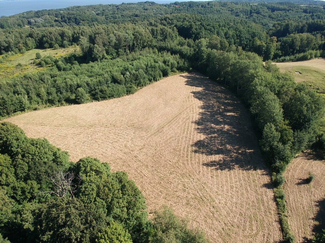 Elbląg SZULC & SZULC BIURO NIERUCHOMOŚCI NA SPRZEDAŻDziałka budowlano - usługowa - Kamionek Wielki /gmina