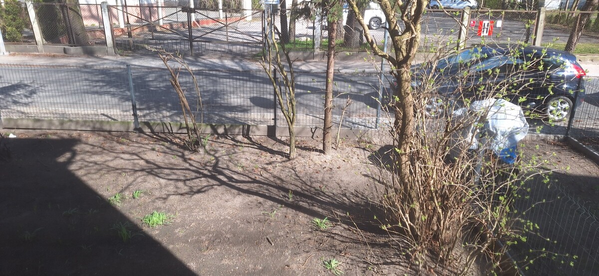 Elbląg 🌿 3-pokojowe mieszkanie z ogródkiem i miejscem parkingowym! 🚗Pełna własność, parter, gotowe do