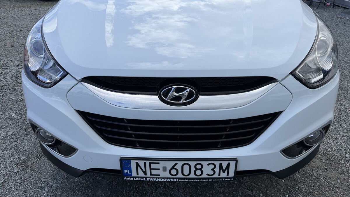 Elbląg Auto Leew LEWANDOWSKI Kupujemy i Sprzedajemy tylko dobre auta Za auta z Polskiego Salonu Płacimy Najwięcej