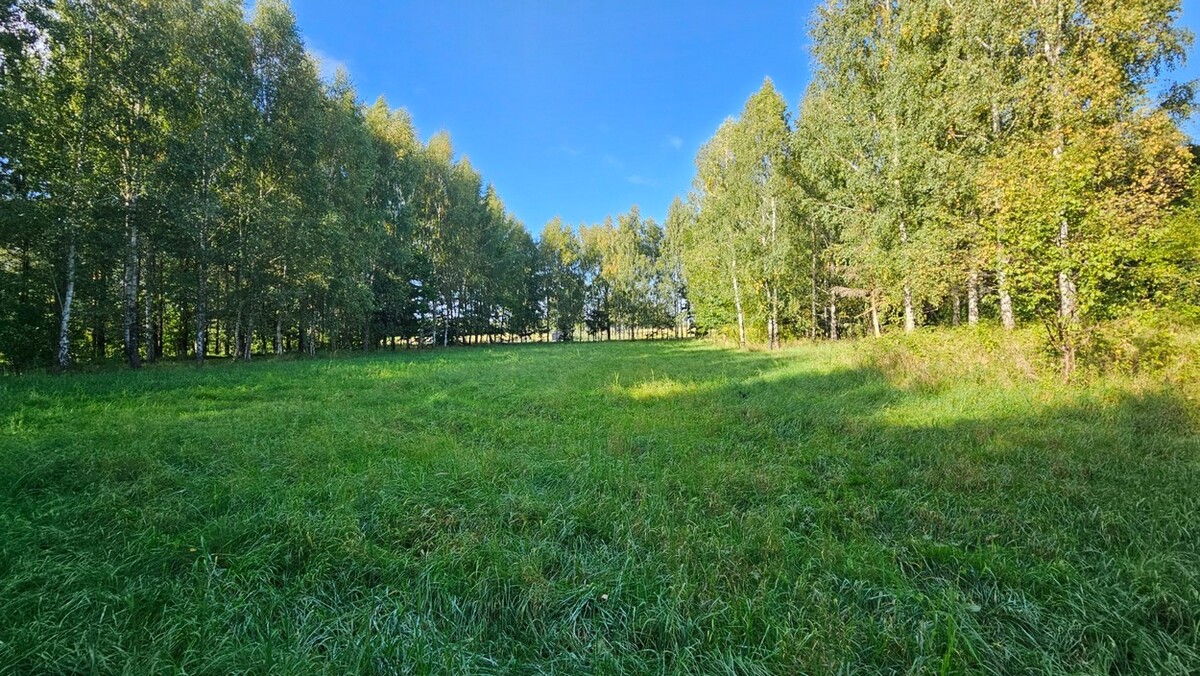 Elbląg BIURO NIERUCHOMOŚCISZULC& SZULCDziałka budowlana - Kamiennik Wielki, gmina MilejewoPowierzchnia - 3034 m2Na