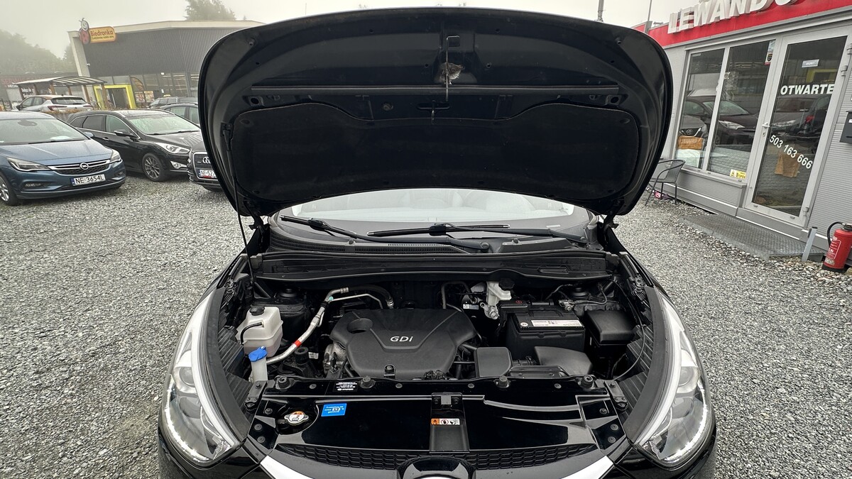 Elbląg Auto Leew LEWANDOWSKI Kupujemy i Sprzedajemy tylko dobre auta Za auta z Polskiego Salonu Płacimy Najwięcej