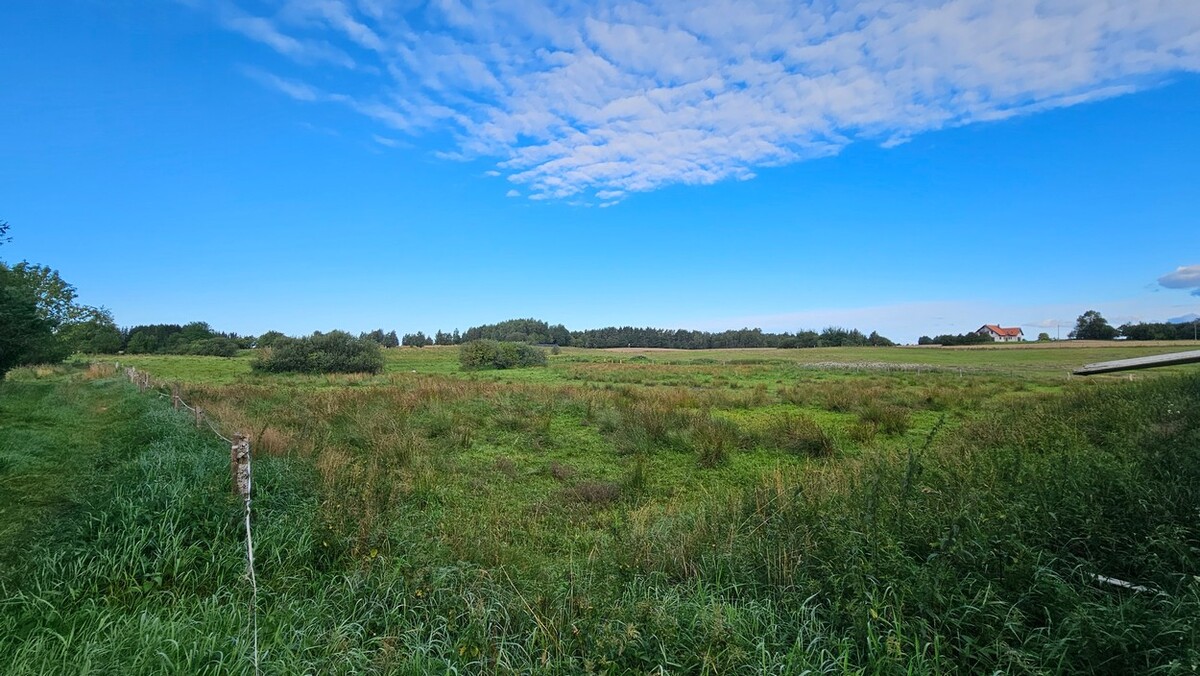 Elbląg BIURO NIERUCHOMOŚCISZULC& SZULCDziałka budowlana - Majewo /gmina Milejewo/Powierzchnia działki: 3000