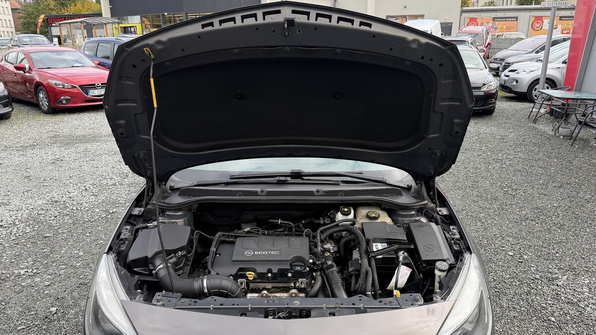 Elbląg Auto Leew LEWANDOWSKI Kupujemy i Sprzedajemy tylko dobre auta Za auta z Polskiego Salonu Płacimy Najwięcej OPEL