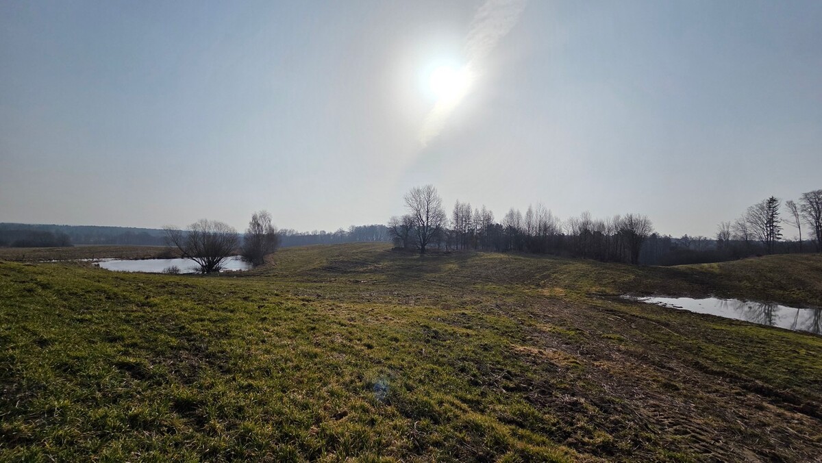 Elbląg SZULC & SZULC BIURO NIERUCHOMOŚCI NA SPRZEDAŻDziałka budowlana - Stare Monasterzysko /gmina