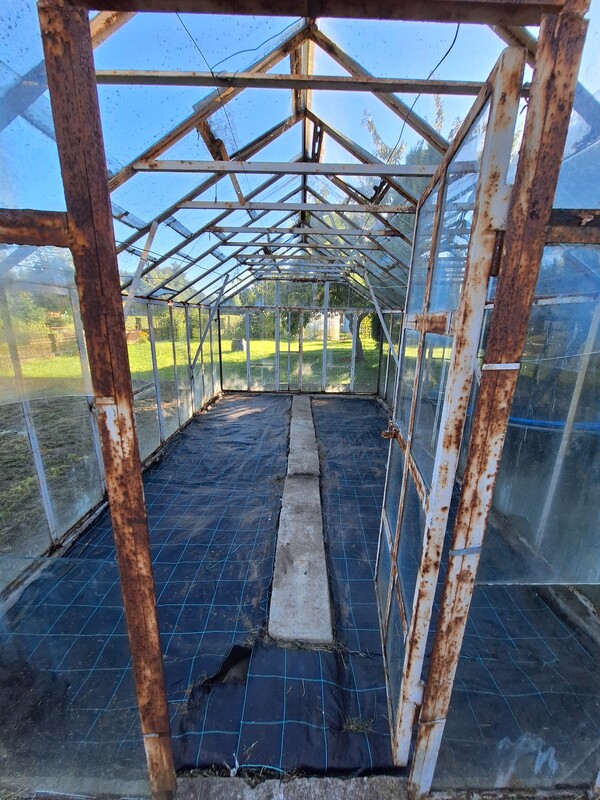 Elbląg 🌿 Na sprzedaż urokliwa działka ROD REKREACJA w Elblągu – Twoje miejsce na odpoczynek! 🌞