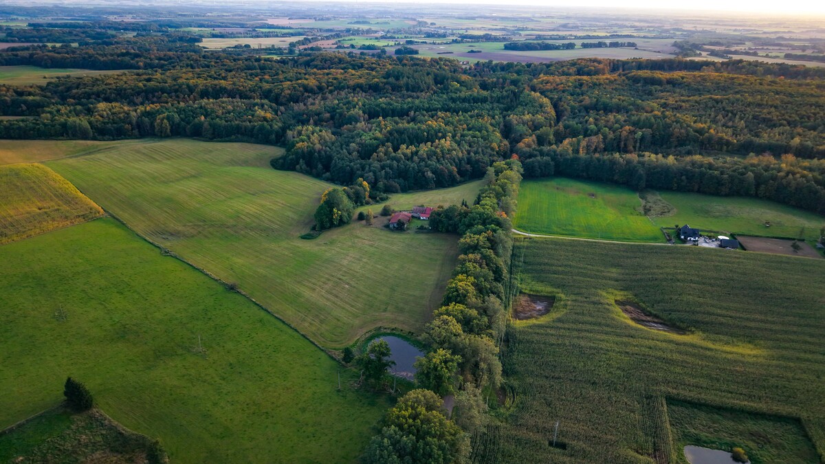 Elbląg DE FACTO NIERUCHOMOŚCITWÓJ ZAUFANY PARTNER NOWOŚĆ! SIEDLISKO W MIEJSCOWOŚCI OLSZÓWKA, GMINA MŁYNARY DZIAŁKA O