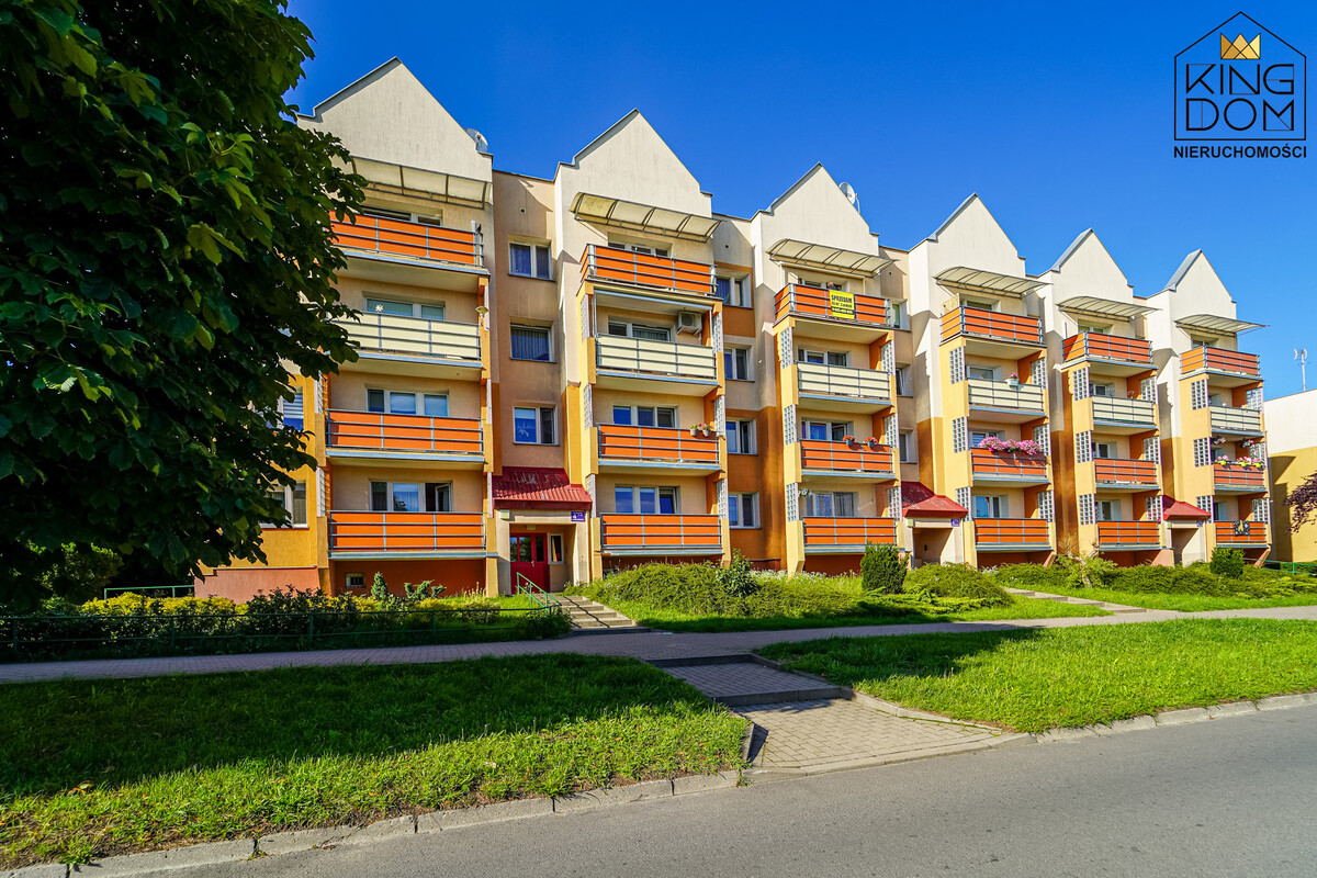Elbląg 👑🏠 KINGDOM 🏠👑NIERUCHOMOŚCI BLISKO CIEBIE NA WYNAJEM