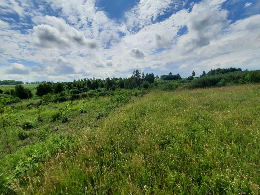 Elbląg SZULC & SZULC BIURO NIERUCHOMOŚCI Działka budowlana - Łęcze, gmina