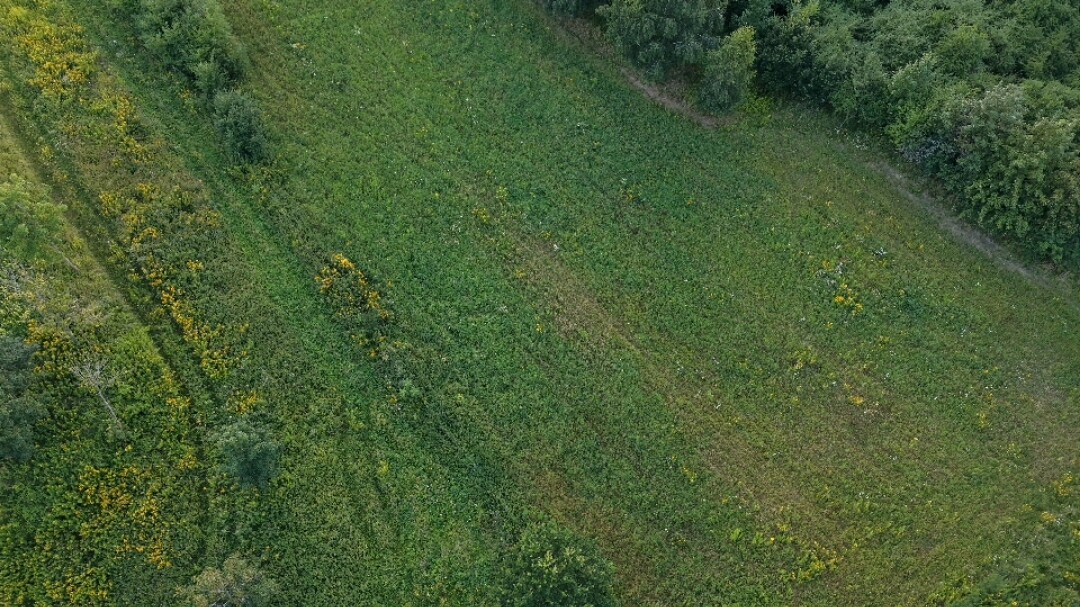 Elbląg Nawiąże współpracę z biurami pośrednictwa nieruchomości w zakresie robienia zdjęć z drona.