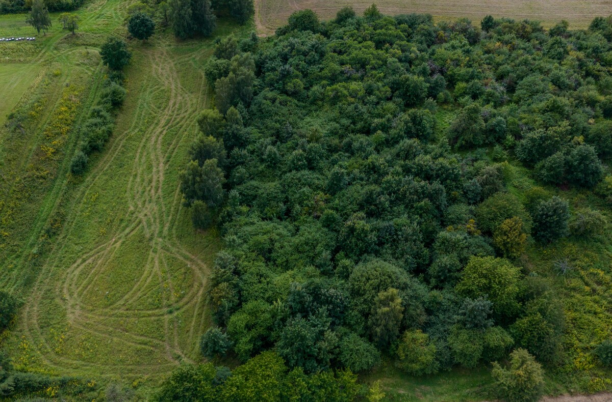 Elbląg Wyjątkowa działka rolna na sprzedaż w miejscowości Łęcze – 1 hektar! Prezentacja działki i okolicy z