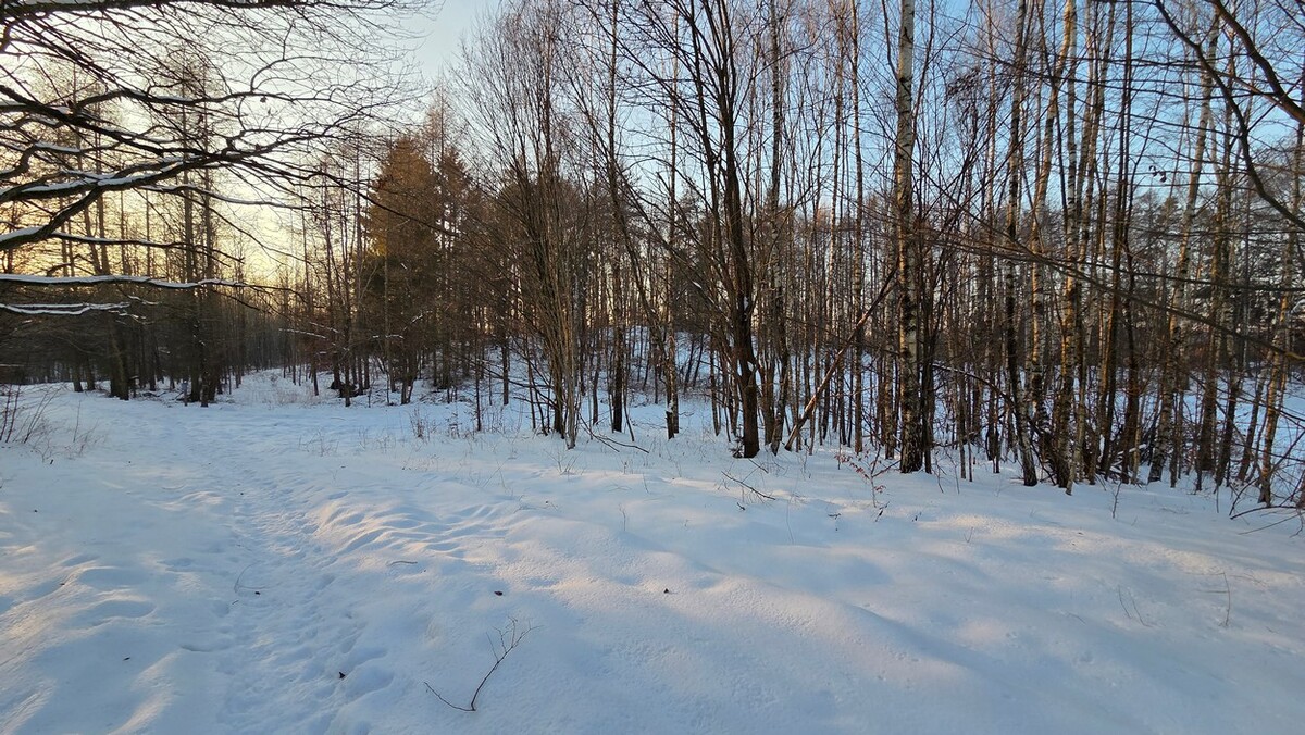 Elbląg BIURO NIERUCHOMOŚCISZULC& SZULCDziałka budowlana w miejscowości Elbląg ul. Jaworowa /Dąbrowa/ o